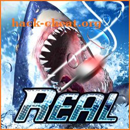 RealFishing3D Free icon