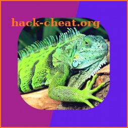 Reptiles icon