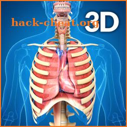 Respiratory System Anatomy icon