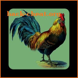 Rooster Alarm and Ringtone Sounds icon