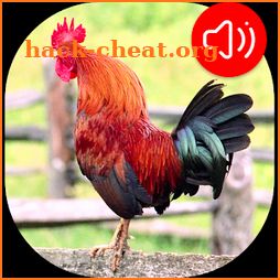 Rooster Ringtones icon