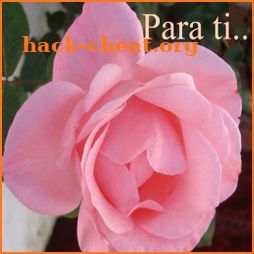 Rosas con Frases Bonitas icon