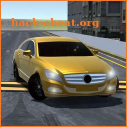 S350 525İ and A8 simulator icon