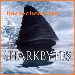 Shark Bytes icon