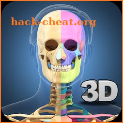 Skeleton Anatomy Pro. icon