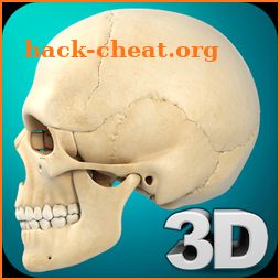 Skull Anatomy Pro. icon