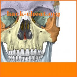 Sobotta Anatomy icon