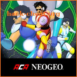 SOCCER BRAWL ACA NEOGEO icon