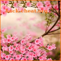 Spring Flowers Live Wallpaper icon