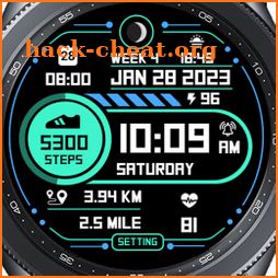 Step Up 2 - Digital Watchface icon