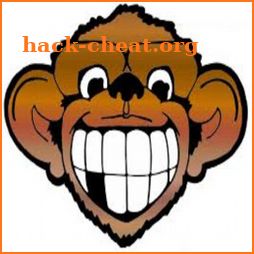 Swing Monkey icon