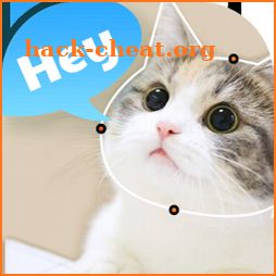 Talking pet app: animating talking animals icon