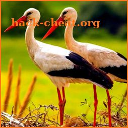 The White Stork icon