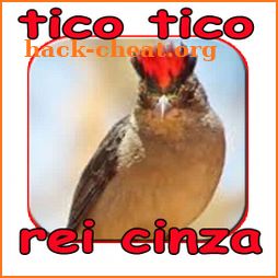 Tico tico rei cinza album mestre icon