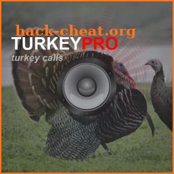 Turkey Calls - Turkey Sounds icon