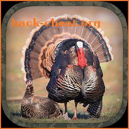 Turkey Hunting Calls icon