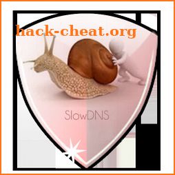 VPN Over DNS  Tunnel : SlowDNS icon