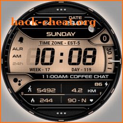 VVA19 Digital info Watch face icon