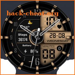 VVA213 Hybrid  Watch face icon