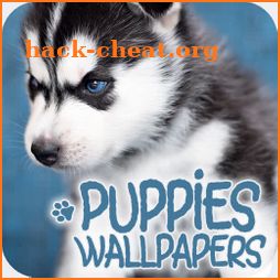 Wallpapers with puppies icon