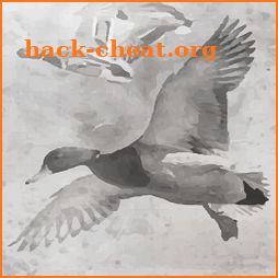 Waterfowl Tracker icon