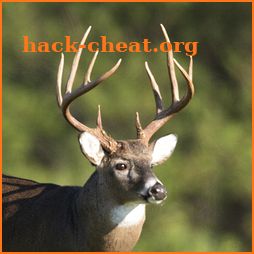 Whitetail Deer Calls icon