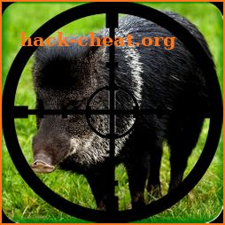 Wild Boar Hunting Calls icon