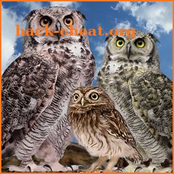 Wild Owl Bird Family Survival icon