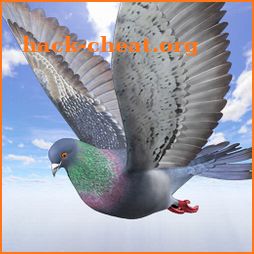 Wild Pigeon Simulator icon