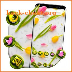 Yellow Pink Tulips Launcher Theme icon