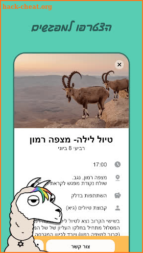 לוזית - כל המפגשים הגאים screenshot