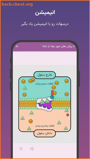 کنکور تجربی 1400 | گام به گام با خط و خال screenshot