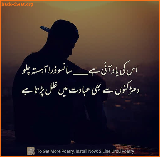 2 Line Urdu Poetry - Best Urdu Status screenshot