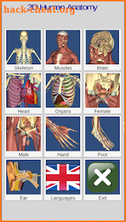 3D Anatomy screenshot