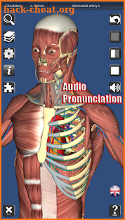 3D Anatomy screenshot