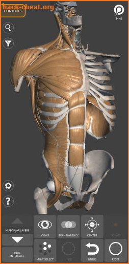 3D Anatomy for the Artist screenshot