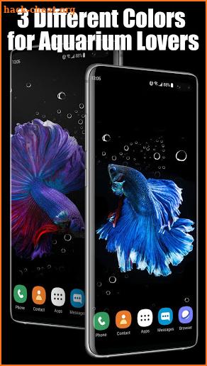 3D Betta Fish Live Wallpaper screenshot