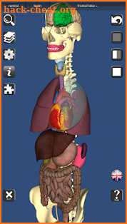 3D Bones and Organs (Anatomy) screenshot