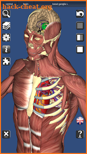 3D Bones and Organs (Anatomy) screenshot