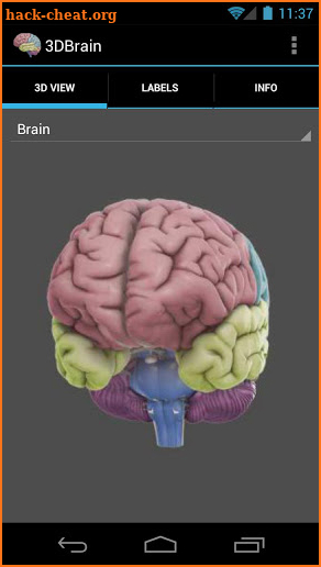 3D Brain screenshot