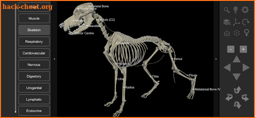 3D Dog Anatomy screenshot