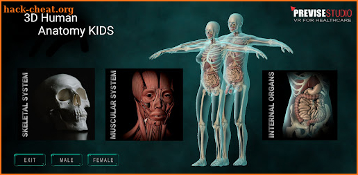 3D Human Anatomy screenshot