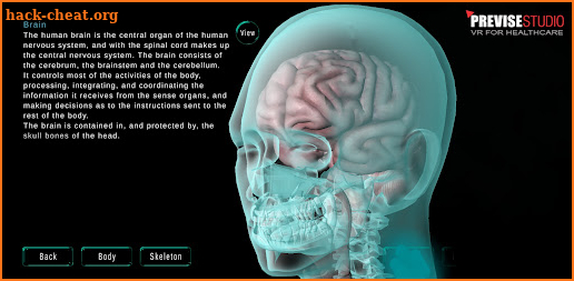 3D Human Anatomy screenshot