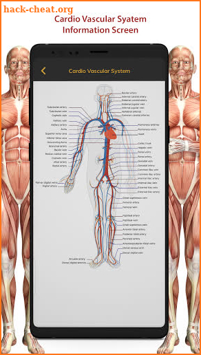 3D Human Anatomy Atlas Physiology: Internal Organs screenshot