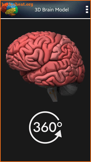 3D Human Brain + screenshot