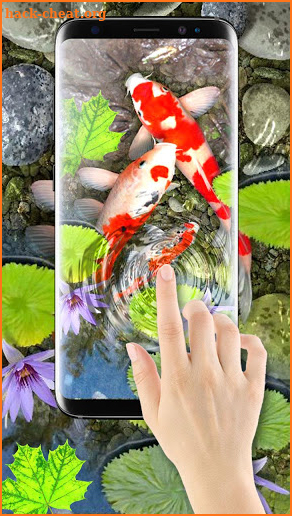 3D Koi Fish Wallpaper HD - 3D Fish Live Wallpapers screenshot