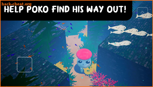 3D Maze: POKO's Adventures screenshot