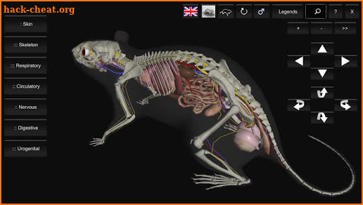 3D Rat Anatomy screenshot