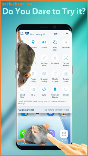 3D Rat on Screen Live Wallpaper & Prank Launcher screenshot