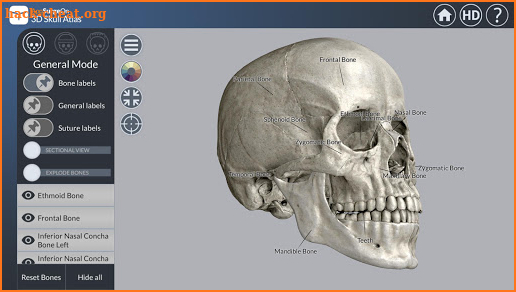 3D Skull Atlas screenshot